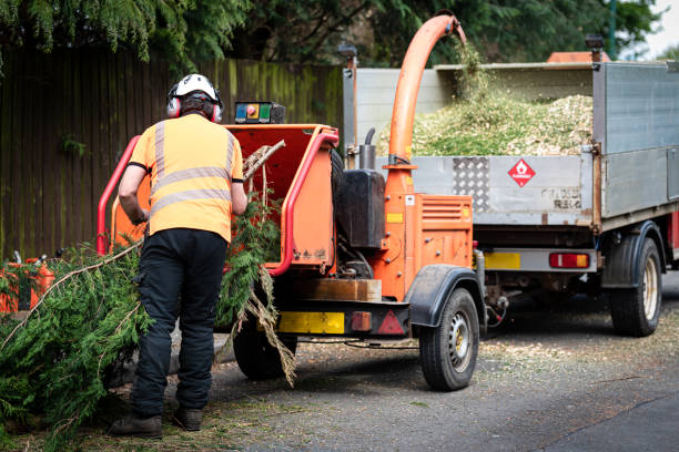 Lawn Grading and Leveling in Black Point Green Point, CA